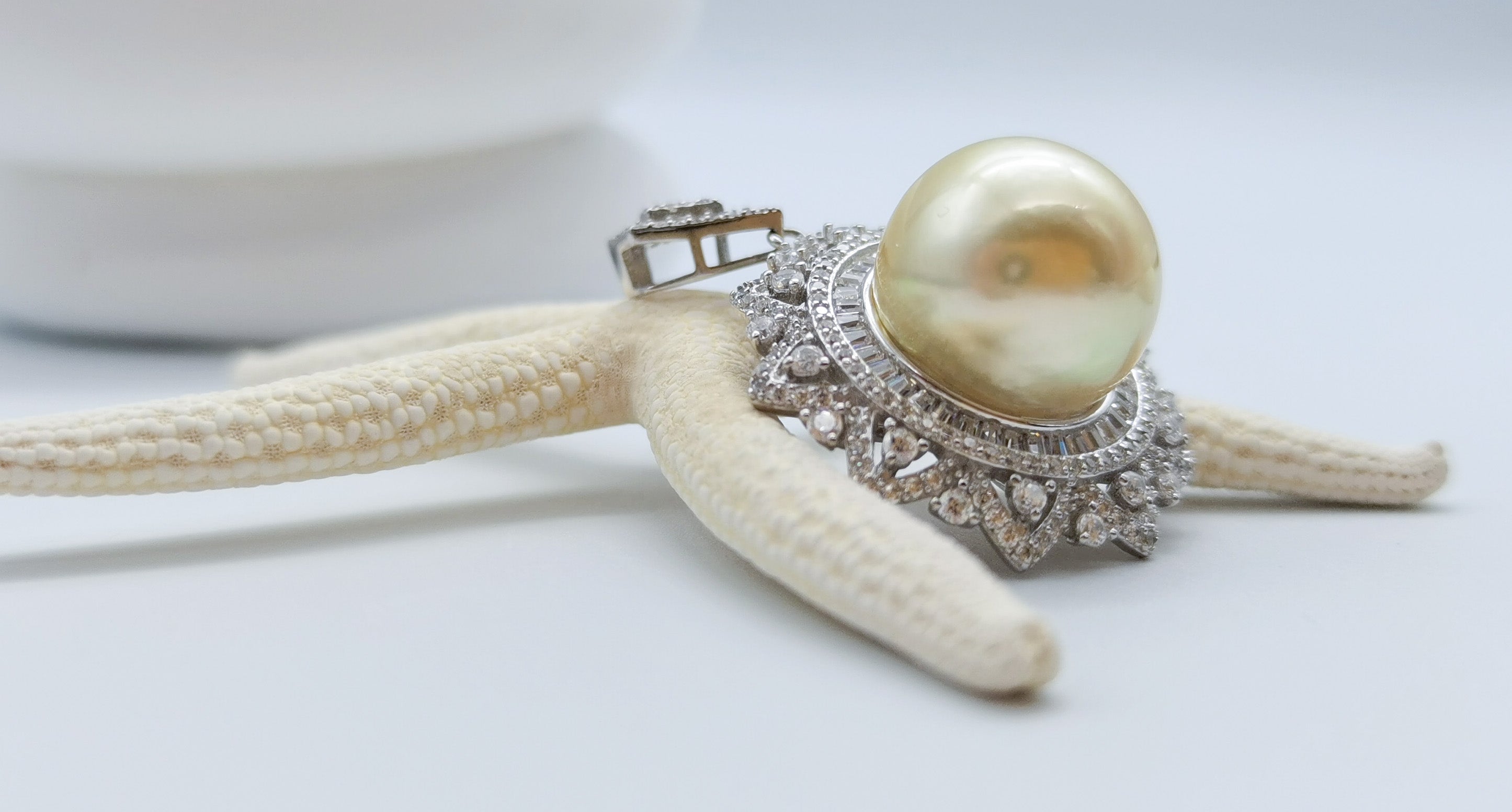 Gold South Sea pearl pendant 14.7mm round light gold CZ double halo 925 sterling silver starfish styling oceanic display