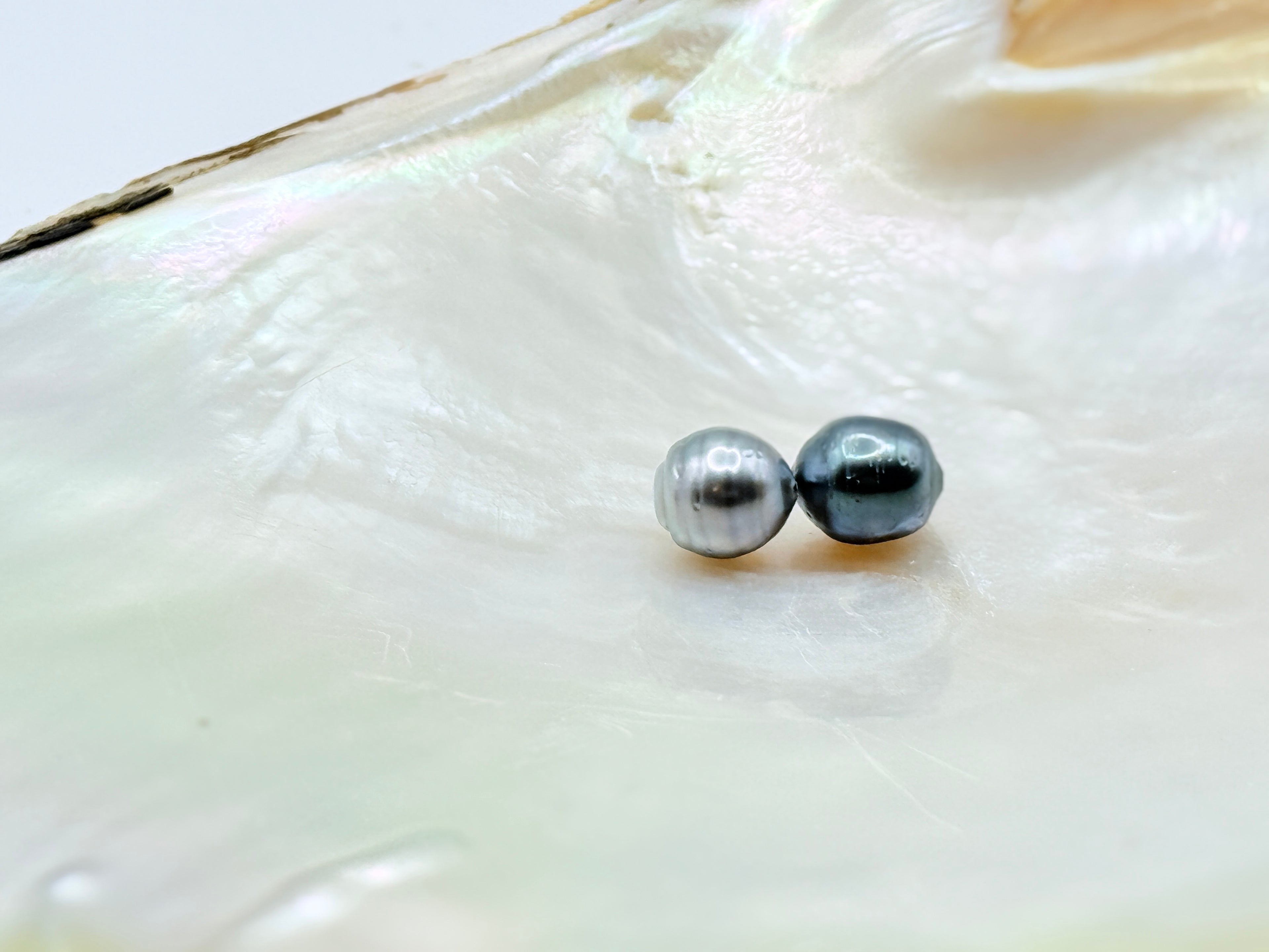 Loose Tahitian baroque pearls with circled pattern
