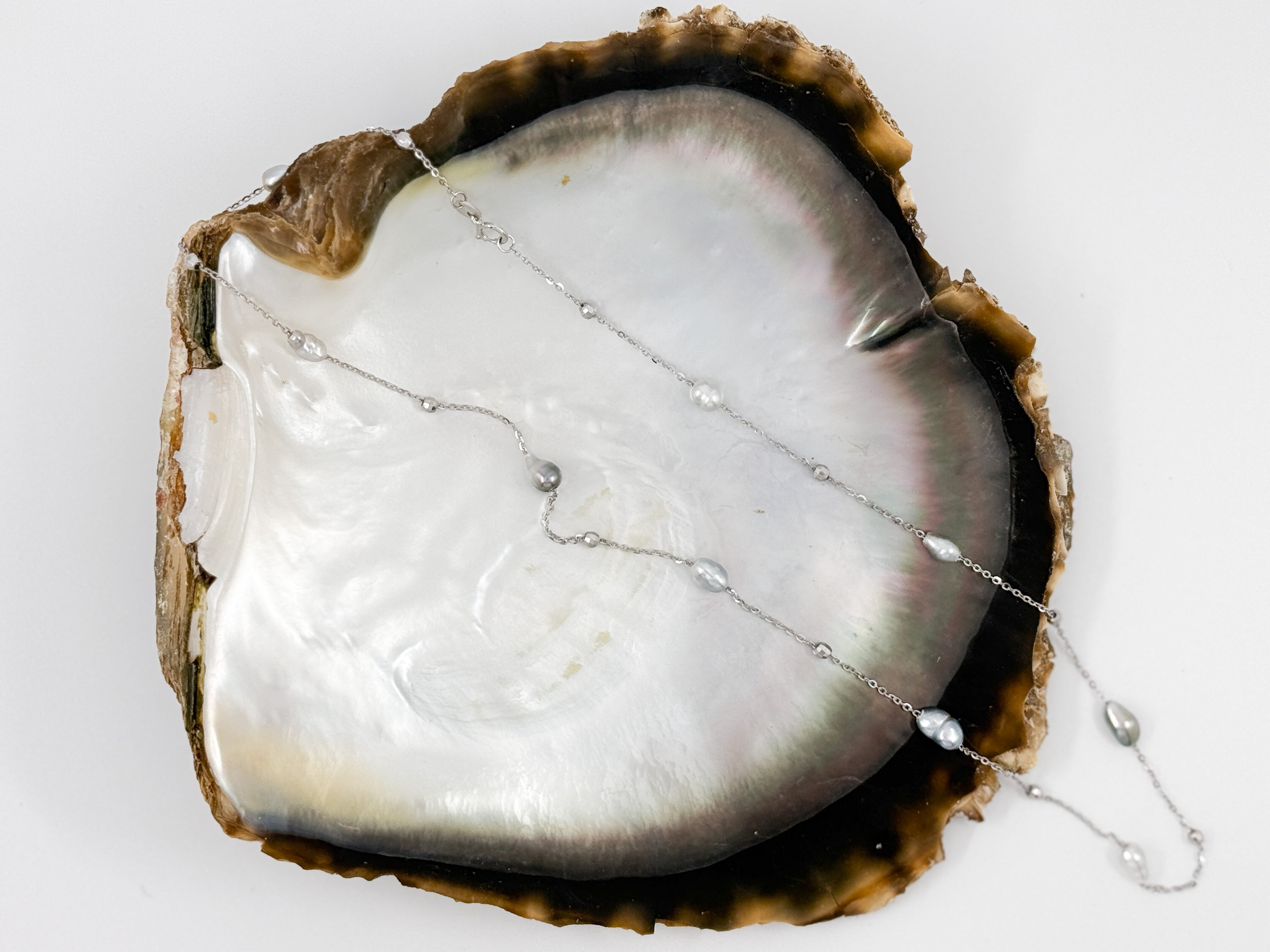 Overhead image of necklace fully extended across oyster shell showing length and irregular pearl shapes