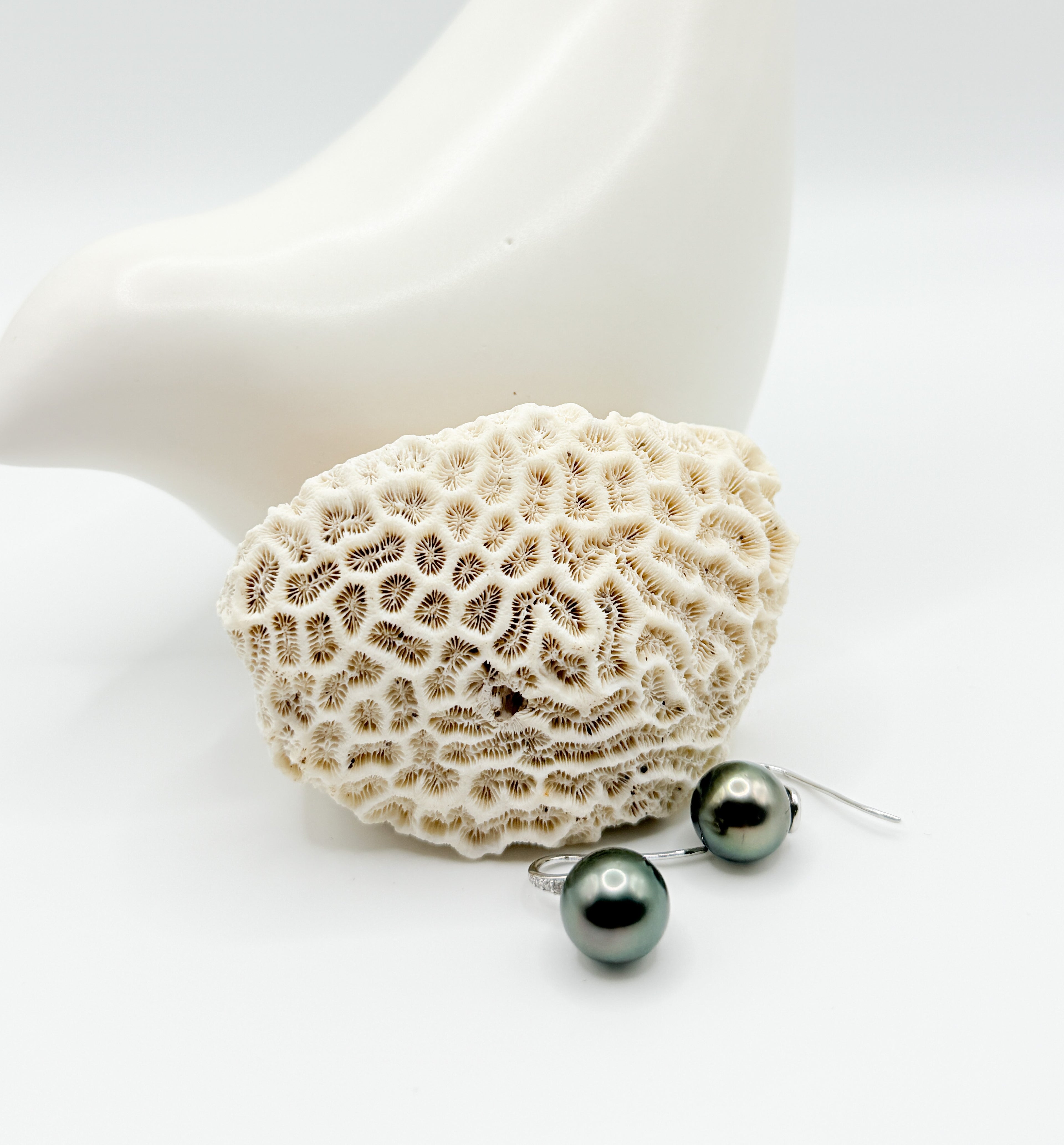 Close-up of round Tahitian pearl earrings beside coral, showing lustre and classic drop silhouette.