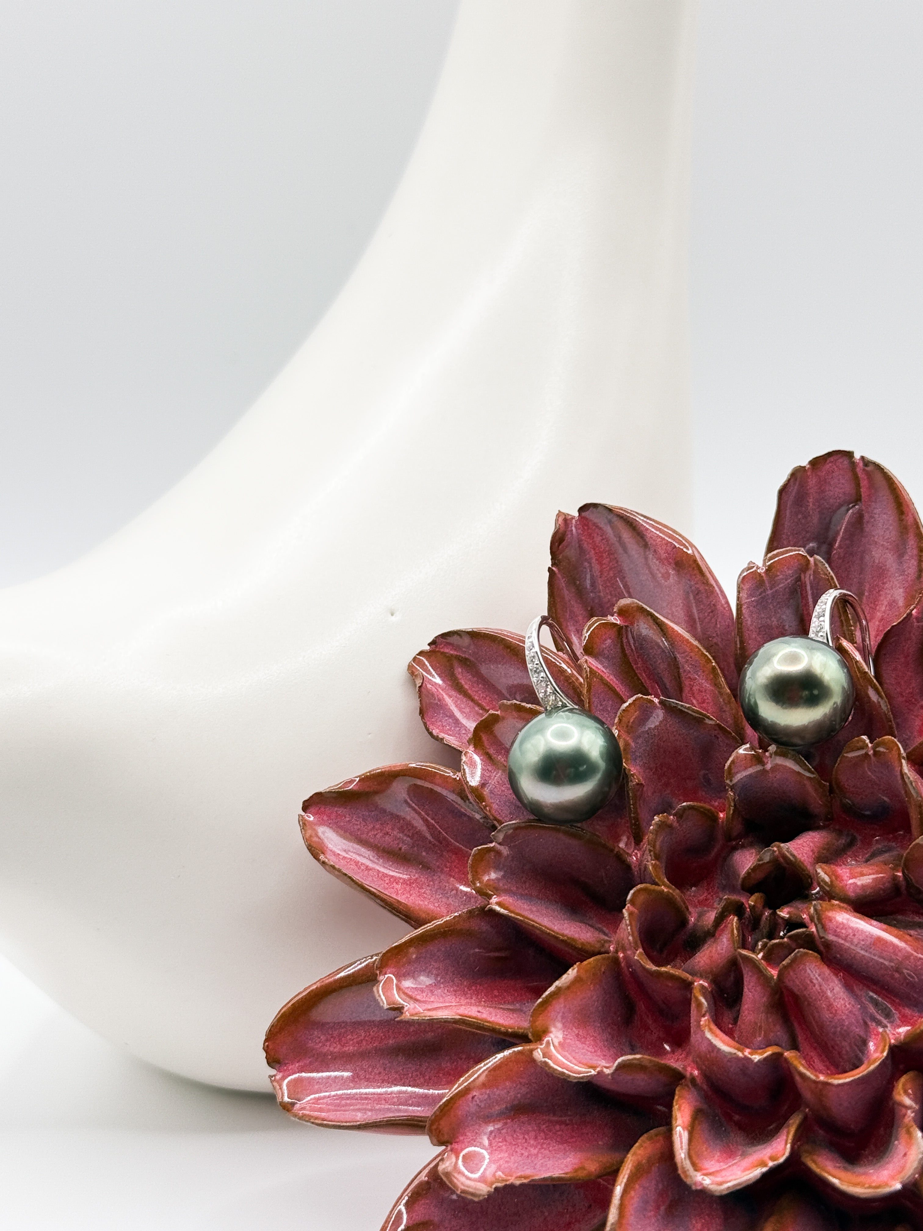 Tahitian pearl earrings displayed on red flower, highlighting the rich overtones and silver hook design.