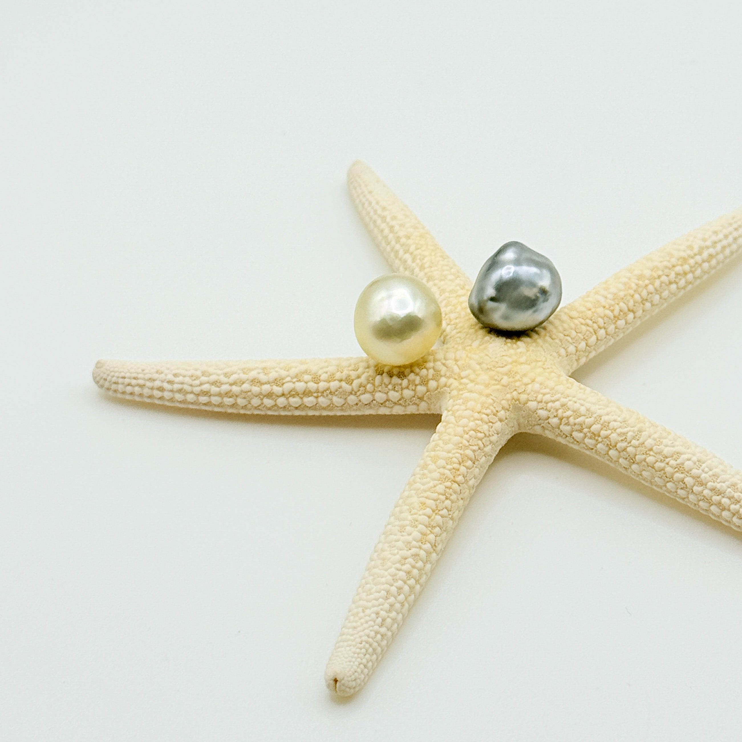 Asymmetrical South Sea Tahitian pearl stud earrings detail showing mismatched golden and platinum grey pearls over 10mm resting on starfish on a white background