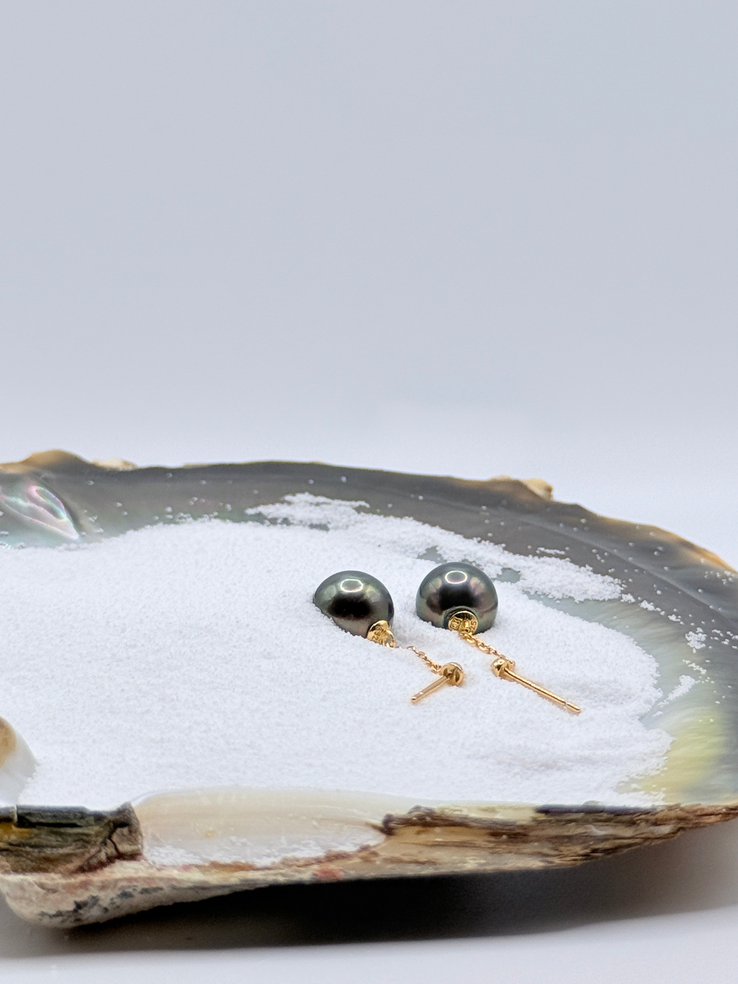 Gold plated chain dangle earrings with dark Tahitian pearls displayed in natural oyster shell showing elegant proportions