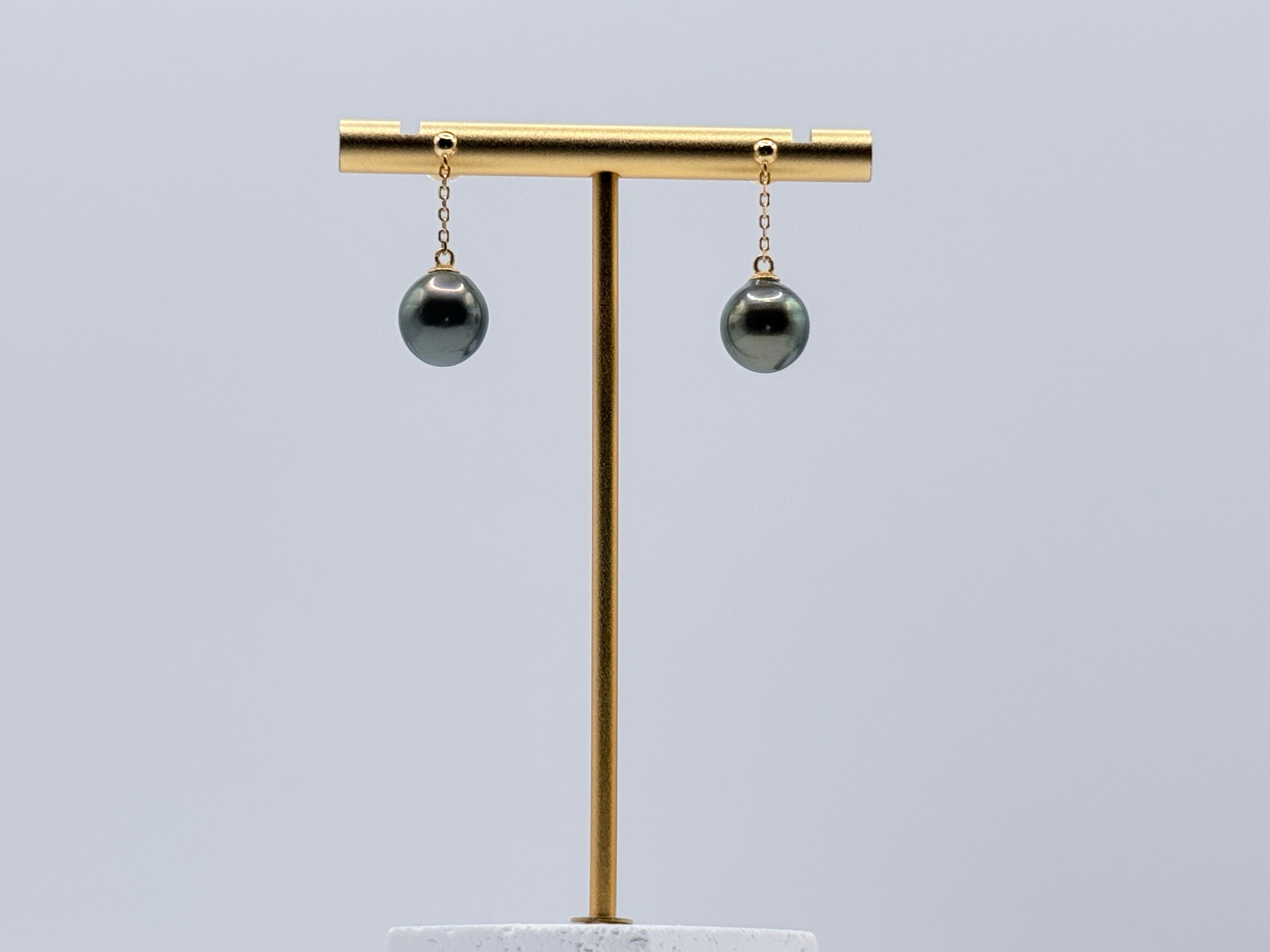 Gold plated chain earrings with 10-11mm Tahitian pearls displayed in oyster shell showing near round shapes and metallic overtones