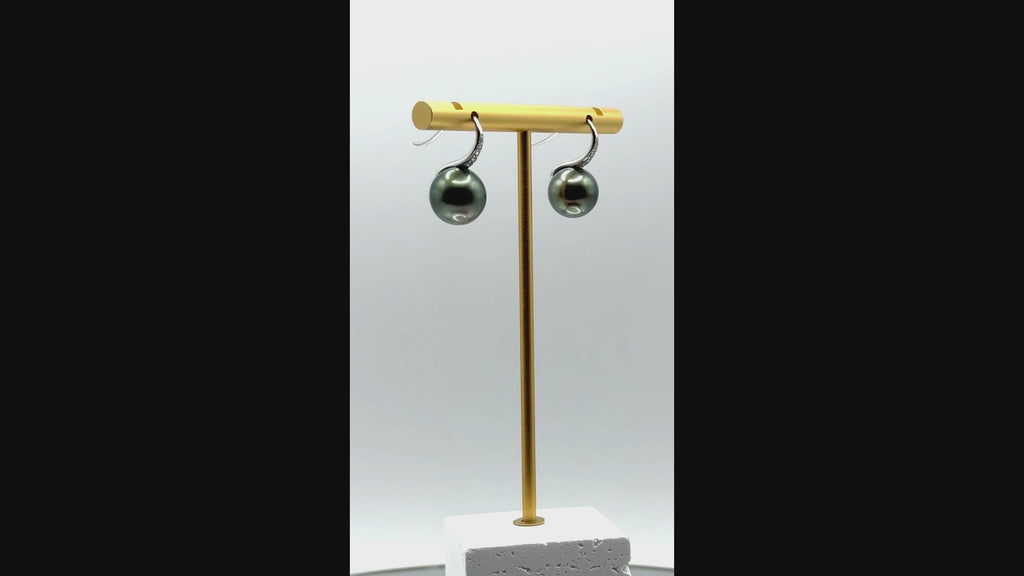 Video of Tahitian pearl drop earrings with sterling silver hooks, showing 11.5–11.9mm round pearls in motion and light.